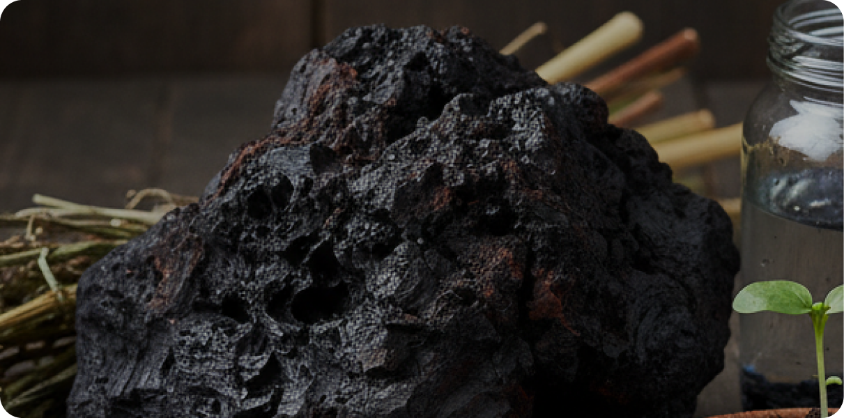 Biochar & Circular Solutions