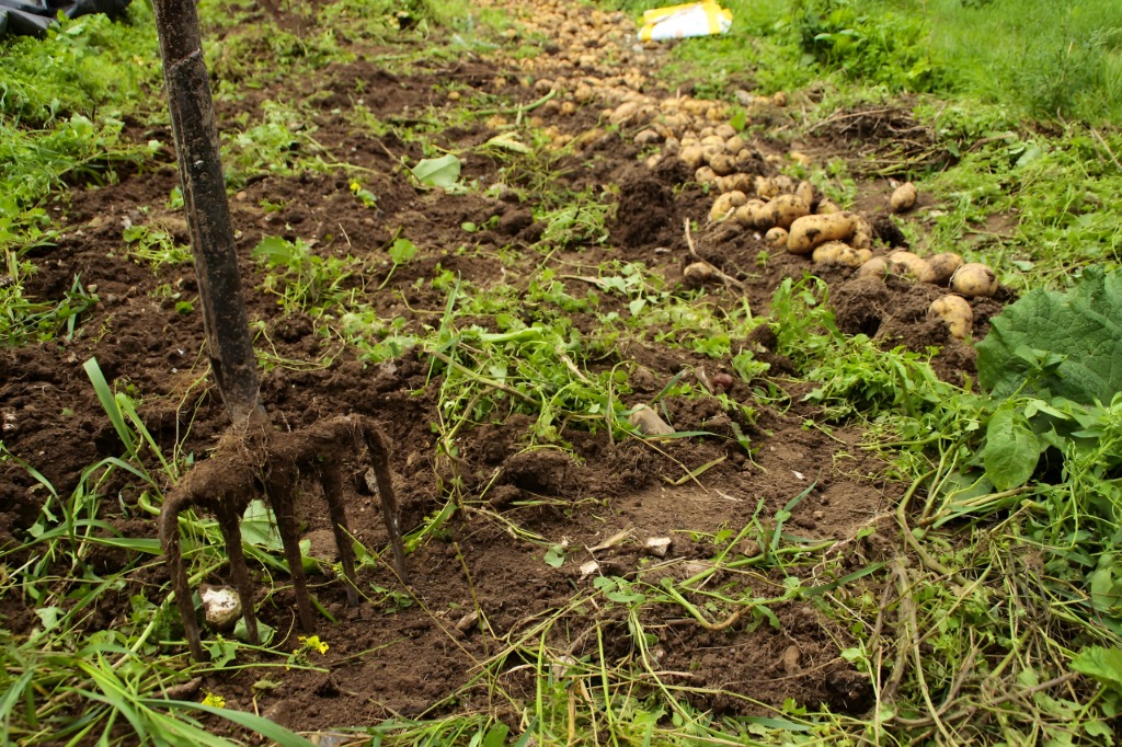 Precision Soil Health Mapping