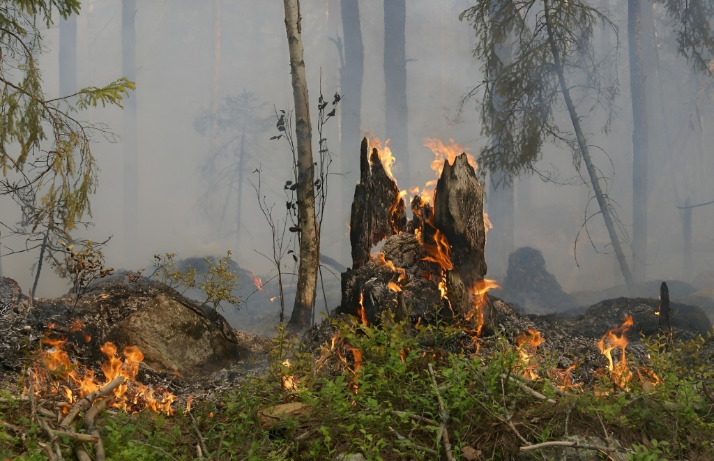 Wildfire Risk Analytics